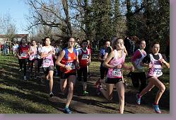 Begles 15.12.13 01 448 * 679 x 453 * (177KB)